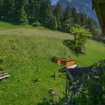 Bergblick *