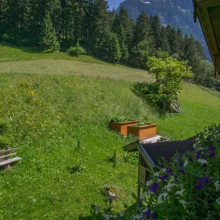 Bergblick *