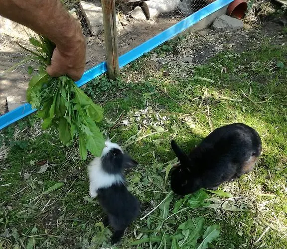 Bergblick * Ginzling